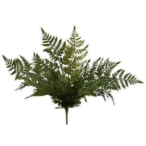 Leather Leaf Fern Bush x10, 18