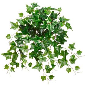UV-Protected Ivy Bush x11, 20