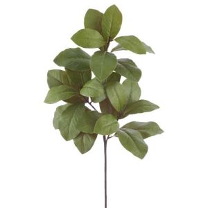 Magnolia Leaf Spray x3, 43