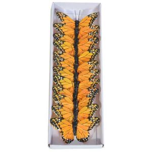 Monarch Butterfly Pick 3