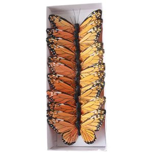 Monarch Butterfly Pick 4