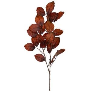 Beech Leaf Spray 28
