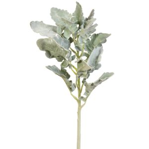Dusty Miller Spray 18 Inches in Green - Small Image