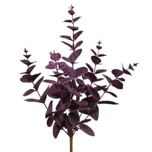 Eucalyptus Leaf Bush x5, 15.5