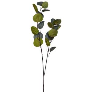 Eucalyptus Leaf Spray x2, 31.5