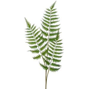 Forest Fern Spray 33