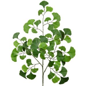 Gingko Spray x3, 22