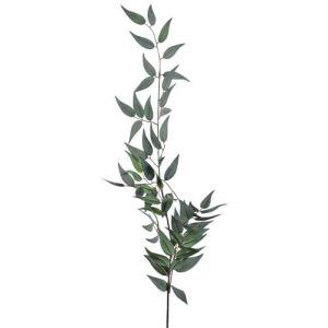 Italian Ruscus Leaf Spray 36