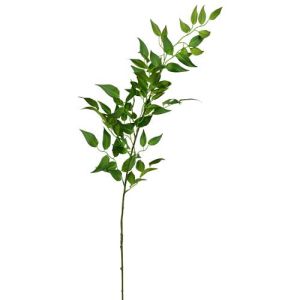 Ruscus Leaf Spray 43.25