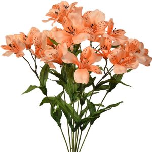 Alstroemeria Bush x9, 19