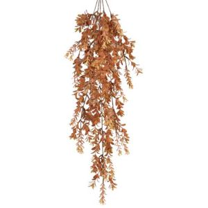 Hanging Boxwood Bush x5, 32