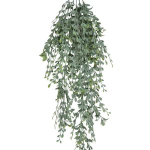 Hanging English Boxwood & Evergreen Spindle Bush x5, 32
