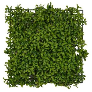 New England Boxwood Greenery Wall Mat 12x12