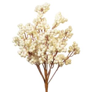 Berry Bush x8, 15