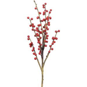 Berry Spray 17
