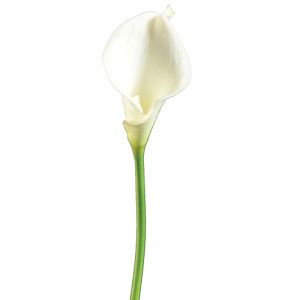 Mini calla lily stem-real touch-white. Small image.