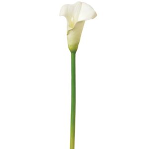 Mini calla lily stem real touch-white. Small image.