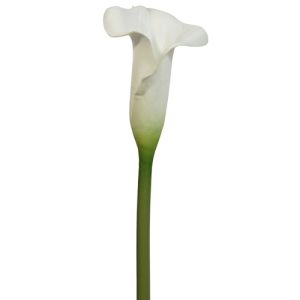 Real Touch Calla Lily Stem 19