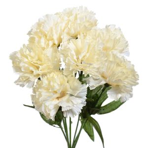 Value Carnation Bush x7, 13