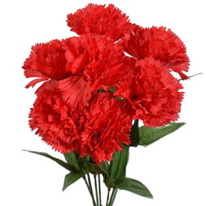 Value Carnation Bush x7, 13
