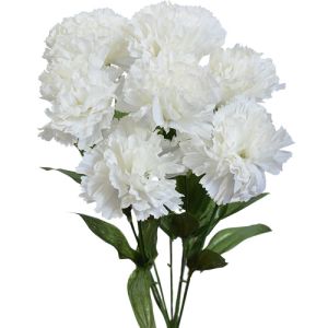 Value Carnation Bush x7, 13