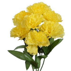 Value Carnation Bush x7, 13
