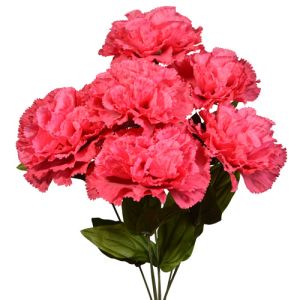 Premium Carnation Bush x7, 18.5