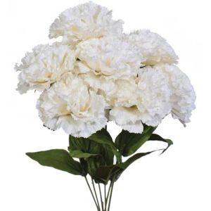 Premium Carnation Bush x7, 18.5
