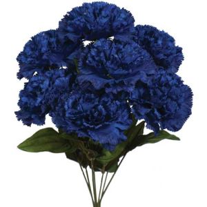 Premium Carnation Bush x7, 18.5