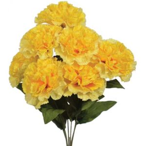 Premium Carnation Bush x7, 18.5
