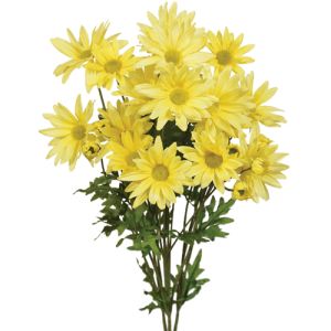 Daisy Bush 21 Inches in Yellow - Small Image
