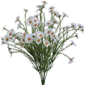 Mini Daisy Bush x7, 15