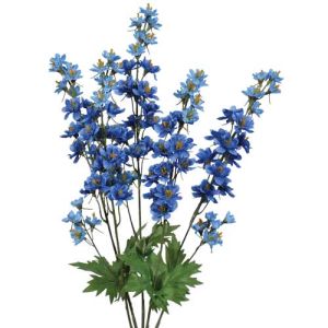 Delphinium Bush x5, 22.5