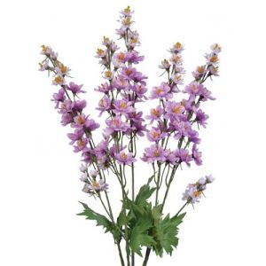 Delphinium Bush x5, 22.5