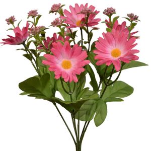 Petite Daisy & Berry Bush x6, 12