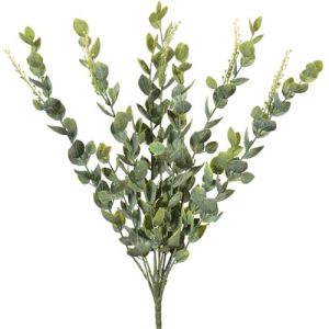 Eucalyptus Bush x11, 19