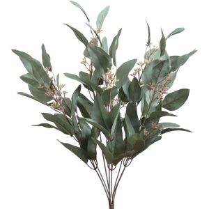 Seeded Eucalyptus Bush x8, 22