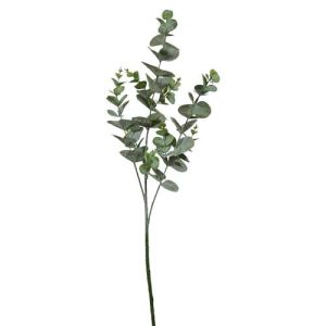 Eucalyptus Spray x3, 32
