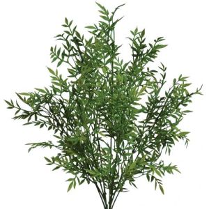 Mini Ficus Bush x9, 19.5