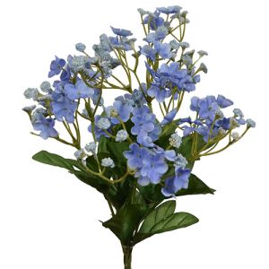Petite Forget-Me-Not Bush x6, 12.5