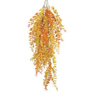 Hanging Mexican Fern Bush x5, 35
