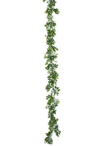 Boxwood Garland 6' - Green