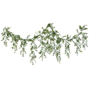 Cascading Boxwood Garland 6' - Green