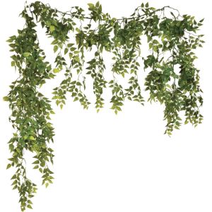 Cascading Garland. Butchers Broom Garland - Two - Tone Green