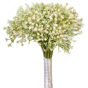 Gypsophila Bundle x18, 11.5