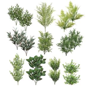 Variety Pack: Standing Greenery Bushes