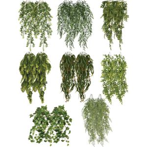 Variety Pack: Hanging Greenery Bushes