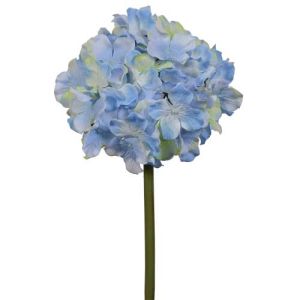 Premium Hydrangea Stem 15