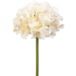 PWH2077- Our premium hydrangea stem with a 6.5-7
