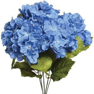 Hydrangea Bush x5, 17